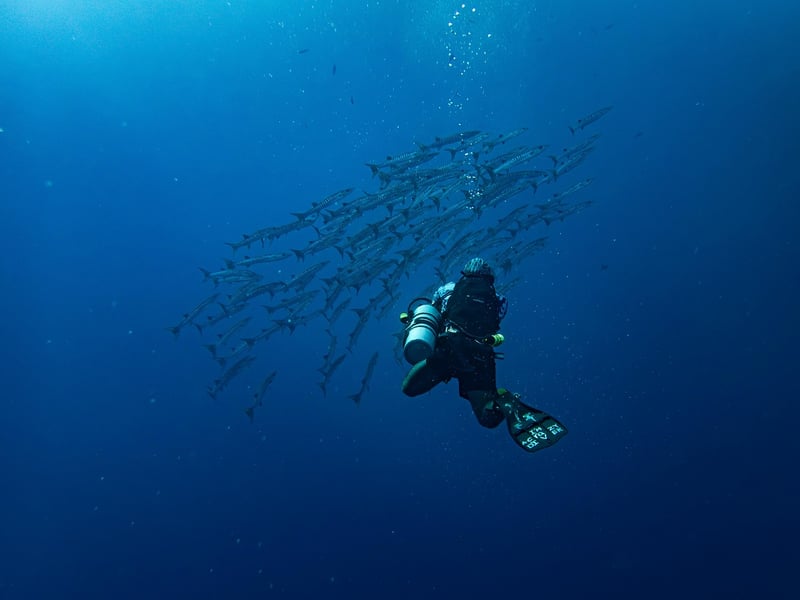 Futuristic Dives